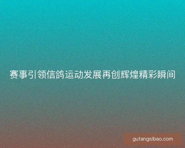赛事引领信鸽运动发展再创辉煌精彩瞬间